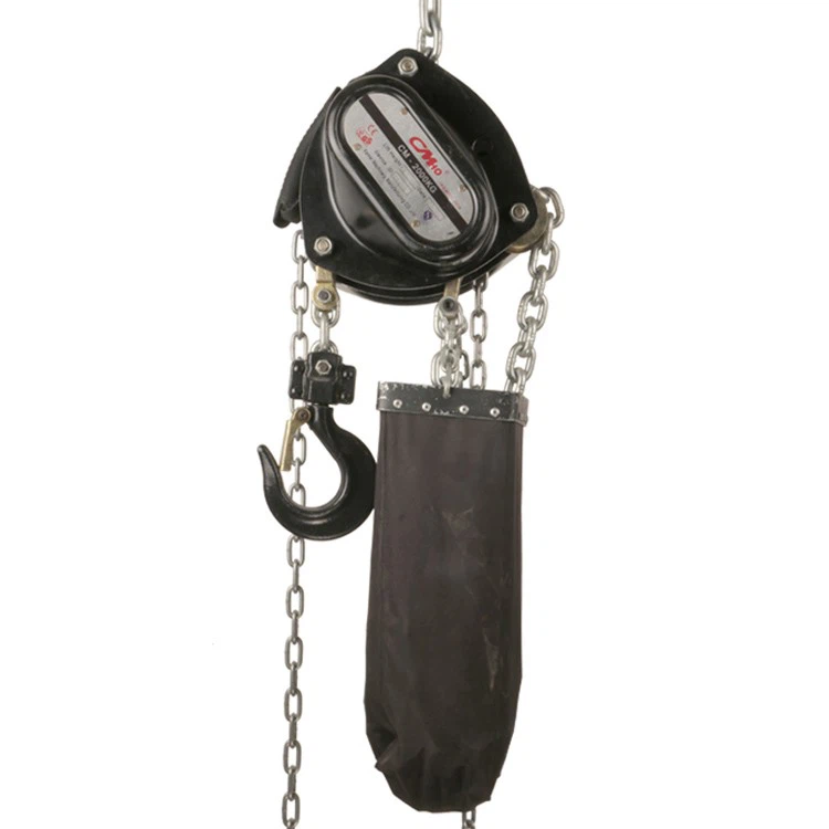 Stage Equipment Chain Hoist suppliers